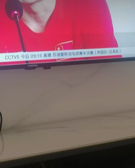张本美和太强了！国乒差距一览无遗