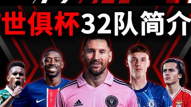 世界杯D组四强实力均衡 土耳其新星闪耀
