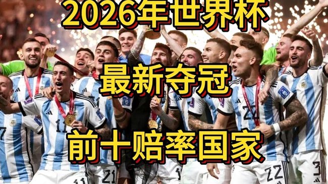 世界杯D组巡礼:4队实力接近 土耳其迎新黄金一代