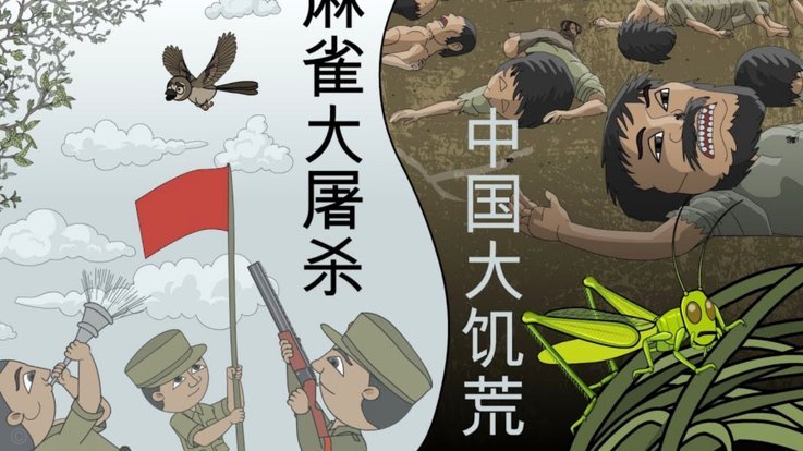 董路小将巴西行运动风险高