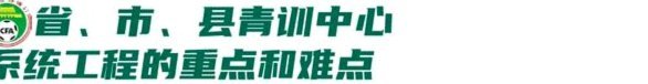 绿城青训算认真吗？从历史积淀看体系与传承